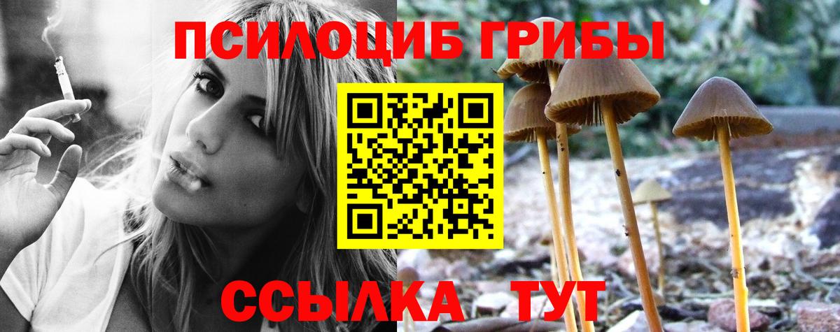 Галлюциногенные грибы Cubensis Анапа